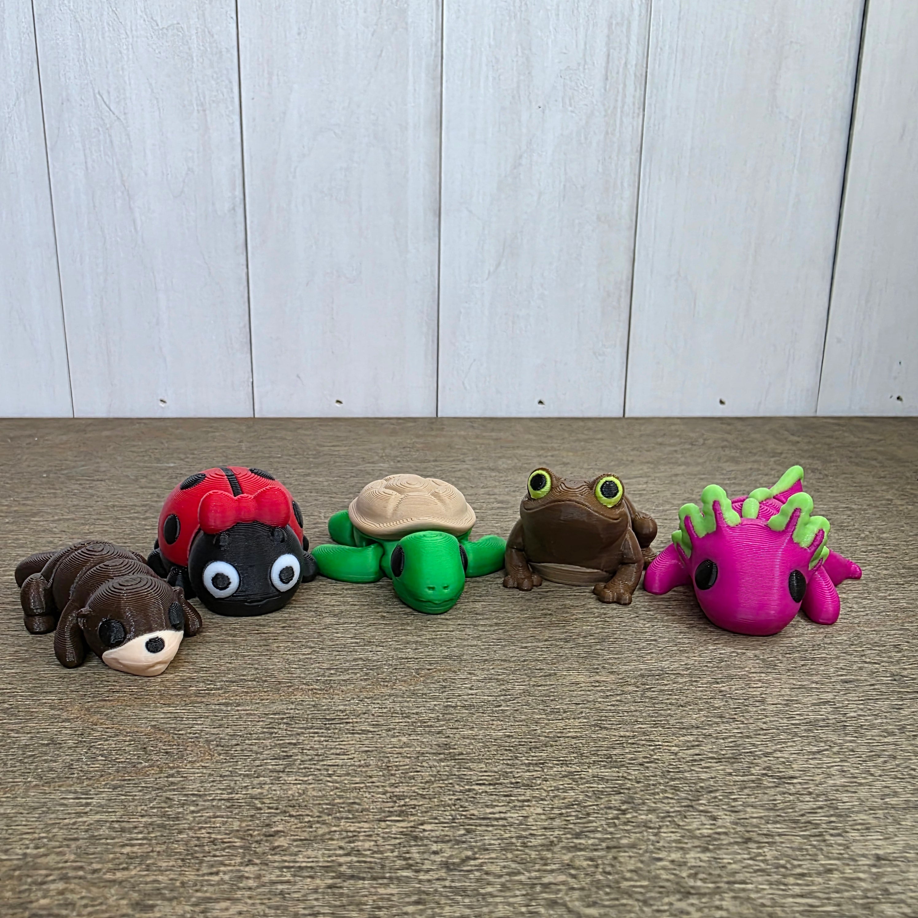 Pond Pack (Girls Edition)