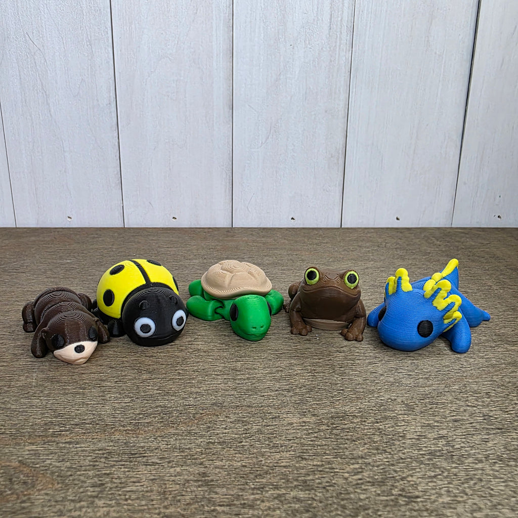 Pond Pack (Boys Edition)