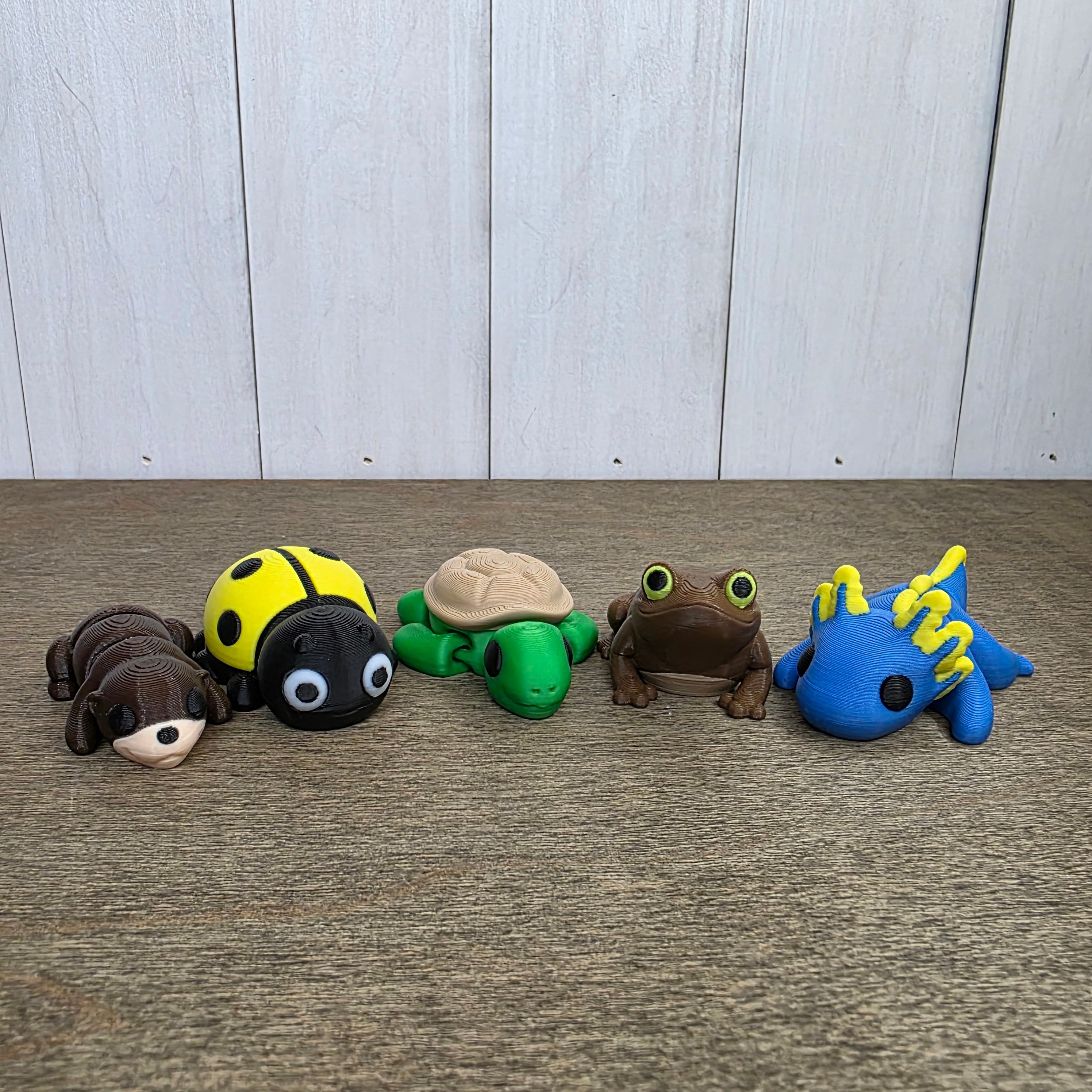 Pond Pack (Boys Edition)