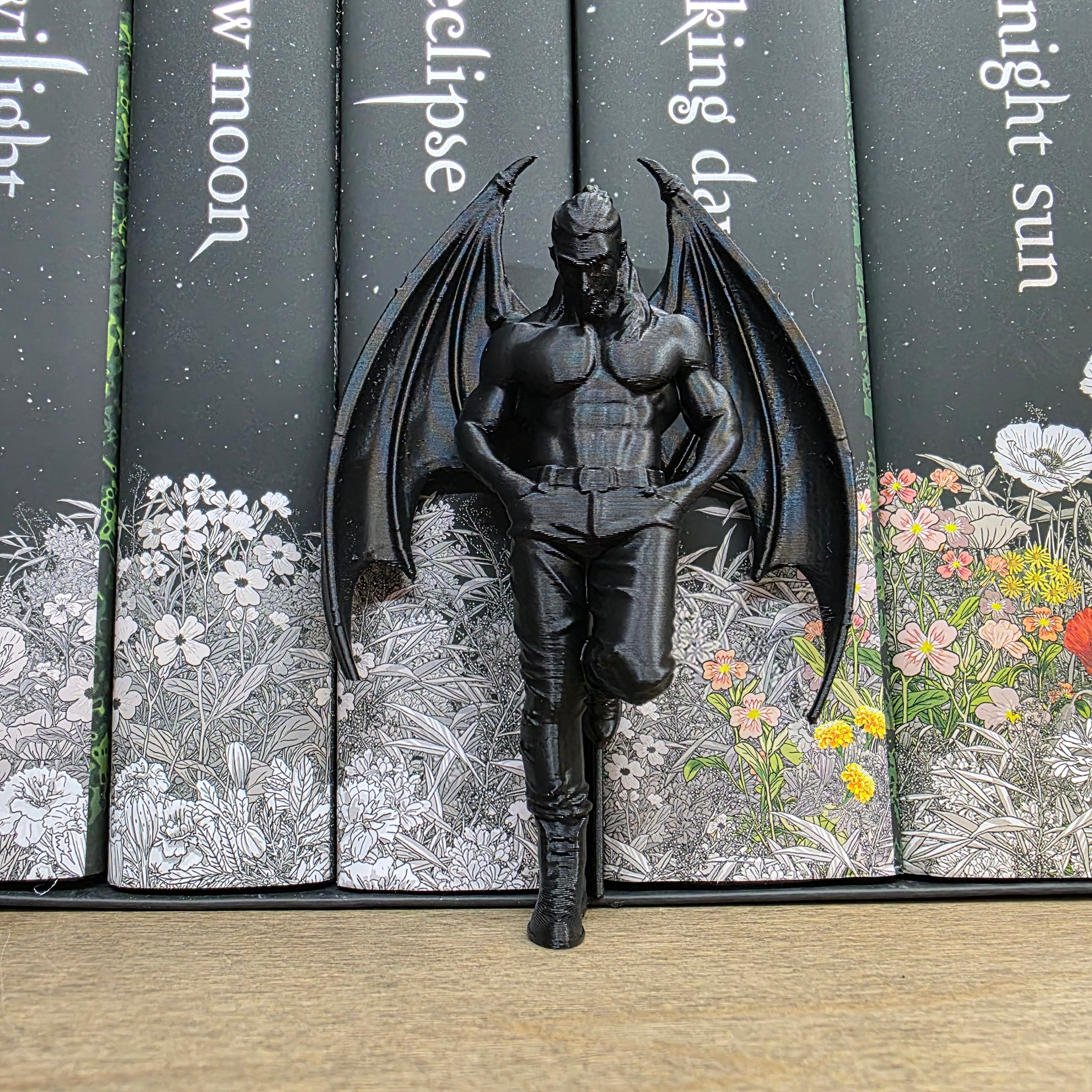Winged Shelf Fella