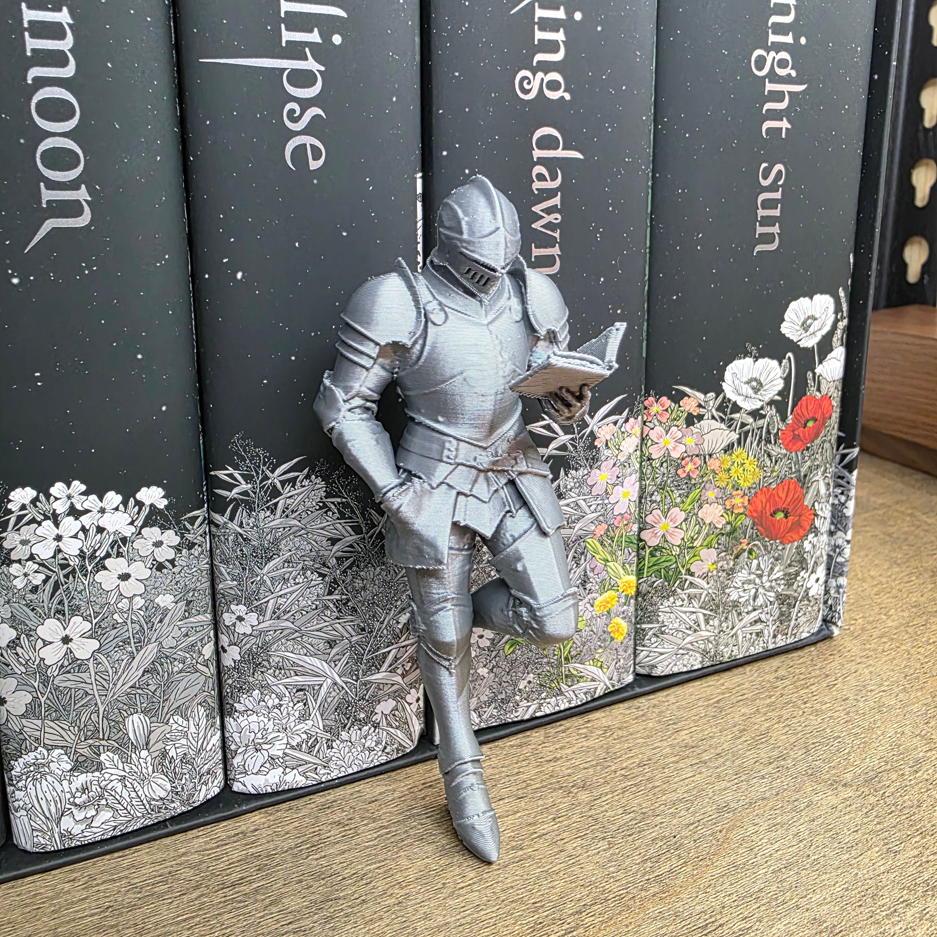 Knight Shelf Fella