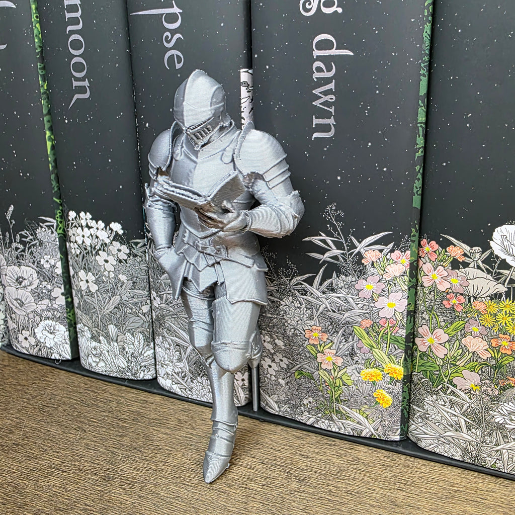 Knight Shelf Fella
