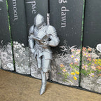 Knight Shelf Fella