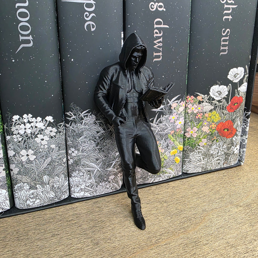 Sexy Shelf Fella