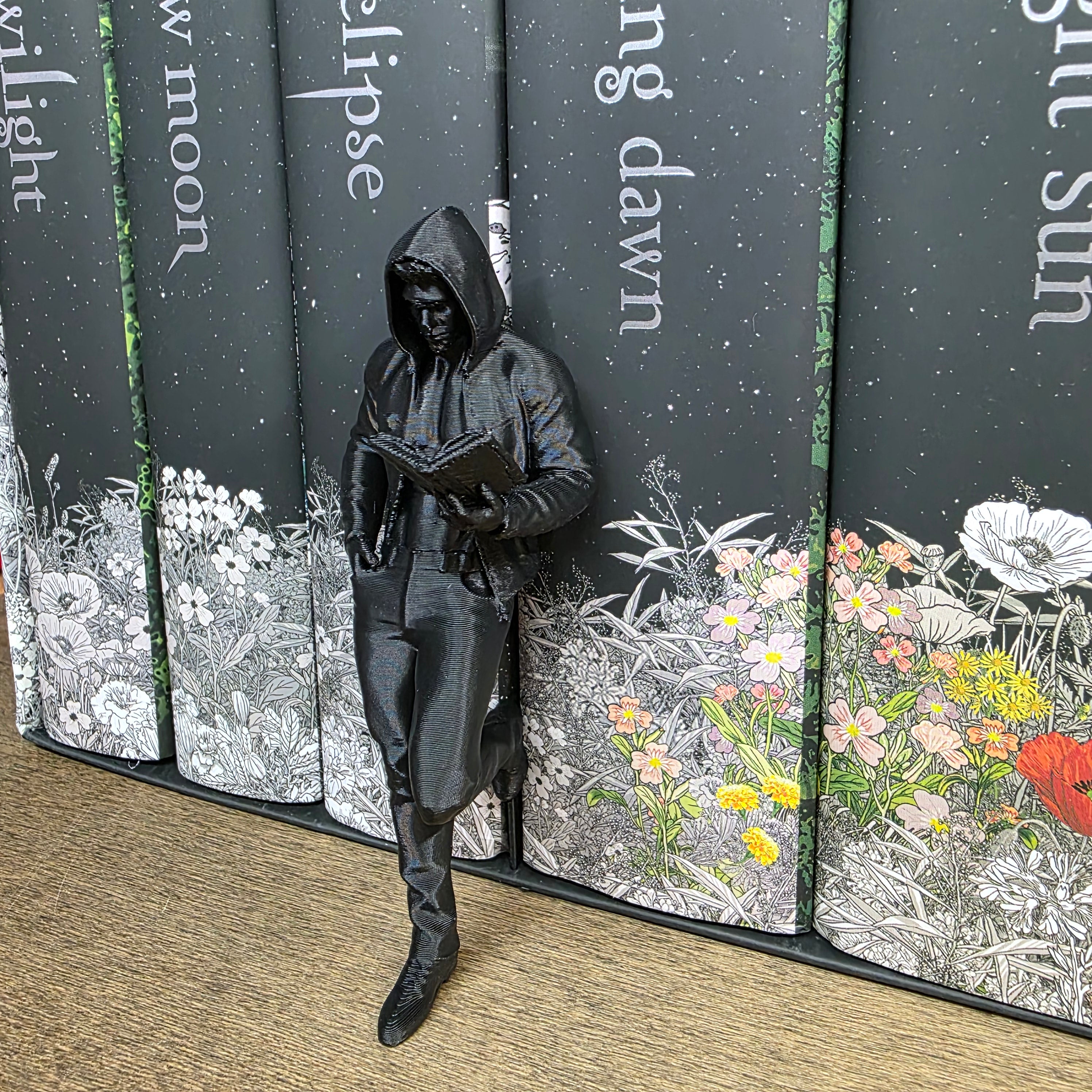 Sexy Shelf Fella