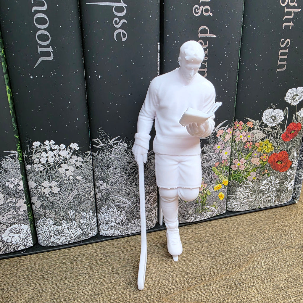 Hockey Shelf Fella