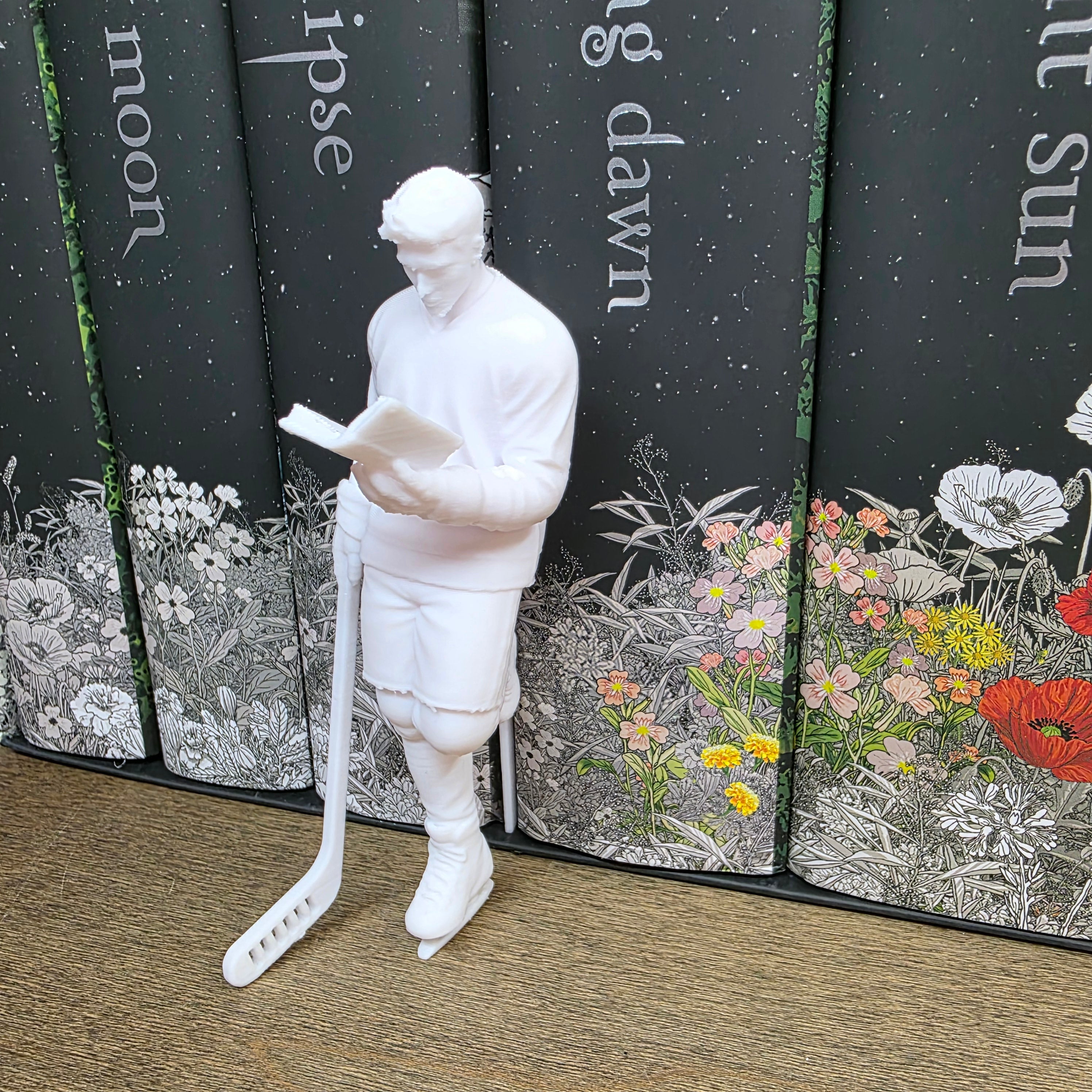 Hockey Shelf Fella
