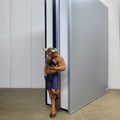 Minotaur Shelf Fella