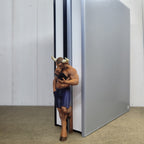 Minotaur Shelf Fella
