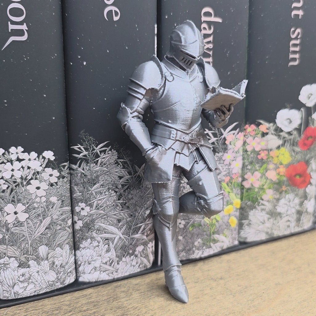Knight Shelf Fella