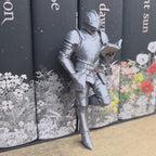 Knight Shelf Fella